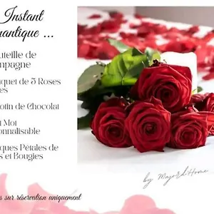 https://majordhome-le-lodgy-coeur-de-la-vieille-ville.hotels-rhonealpes.com